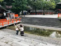 下鴨神社（賀茂御祖神社）の写真・動画_image_483940