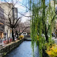 やよいのカフェの写真・動画_image_483991