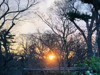 北野天満宮の写真・動画_image_484005