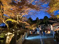 大山阿夫利神社の写真・動画_image_484371