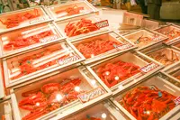 近江町市場の写真・動画_image_484379
