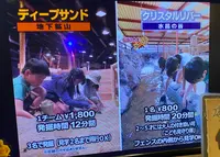 宝石探し トレジャーストーンパークの写真・動画_image_484687