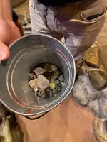 宝石探し トレジャーストーンパークの写真・動画_image_484690