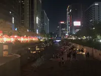 清渓川/チョンゲチョン/청계천の写真・動画_image_484741