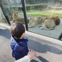 広島市安佐動物公園の写真・動画_image_484787