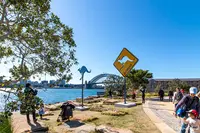 Barangaroo Reserveの写真・動画_image_484870
