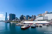SEA LIFE Sydney Aquariumの写真・動画_image_484897