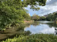 栗林公園の写真・動画_image_484973
