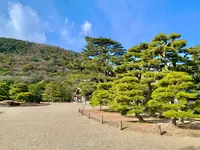 栗林公園の写真・動画_image_484989