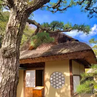 栗林公園の写真・動画_image_484990