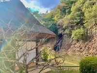 栗林公園の写真・動画_image_484991