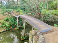 栗林公園の写真・動画_image_484993