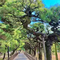 栗林公園の写真・動画_image_484994