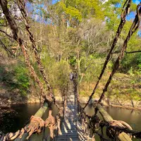 四国村の写真・動画_image_485038