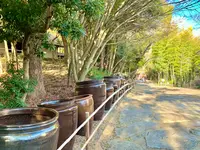 四国村の写真・動画_image_485066