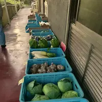 から風呂の写真・動画_image_485072