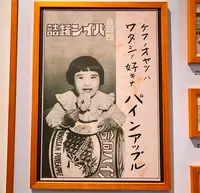 台湾鳳梨工場の写真・動画_image_485351