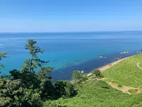 白米千枚田の写真・動画_image_485557