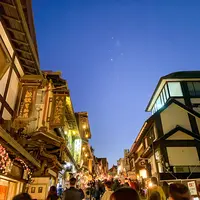 成田（成田山表参道）の写真・動画_image_486015