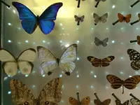 Muséum national d'Histoire naturelle（国立自然史博物館）の写真・動画_image_486568