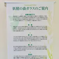 妖精の森ガラス美術館の写真・動画_image_486896
