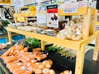 道の駅 奥津温泉の写真・動画_image_486925