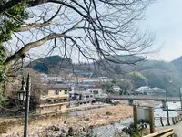 奥津温泉 足湯の写真・動画_image_486972