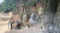 仙酔島の写真・動画_image_487489