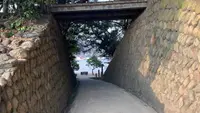 御膳山展望台の写真・動画_image_487503