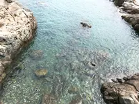 海東龍宮寺/へドンヨングンサ/해동용궁사の写真・動画_image_487621