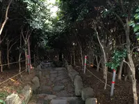 冬栢島(冬栢公園)/トンベッソム(トンベッコンウォン)/동백섬(동백공원)の写真・動画_image_487634