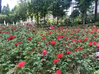 蚕室駅/チャムシル駅/잠실역の写真・動画_image_487754