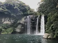 天帝淵瀑布/チョンジェヨンポッポ/천제연폭포の写真・動画_image_487881
