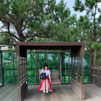 済州新羅ホテル/チェジュシーラホテル/THE SHILLA JEJU/제주신라호텔の写真・動画_image_487913