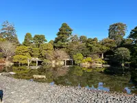 京都御所の写真・動画_image_487964