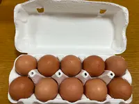 ただなり 宇治プリンの写真・動画_image_488004