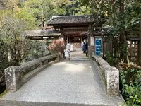 宇治上神社の写真・動画_image_488026