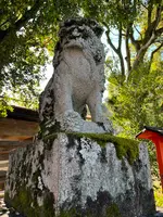 松尾大社の写真・動画_image_488106
