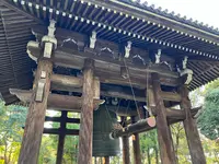 知恩院の写真・動画_image_488194