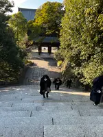 知恩院の写真・動画_image_488195