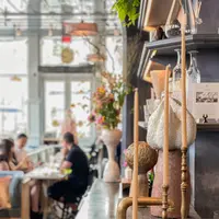 Roman and Williams Guildの写真・動画_image_488305