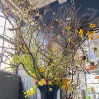 Roman and Williams Guildの写真・動画_image_488308