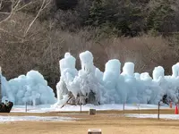 西湖 野鳥の森公園の写真・動画_image_488775