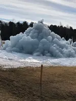 西湖 野鳥の森公園の写真・動画_image_488779