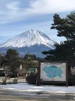 本栖湖観光協会の写真・動画_image_488786