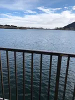 田貫湖の写真・動画_image_488794