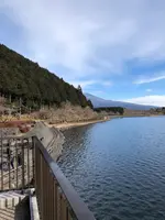田貫湖の写真・動画_image_488795