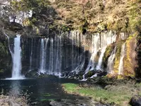 白糸の滝の写真・動画_image_488803