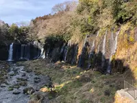 白糸の滝の写真・動画_image_488805