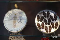 Läderach(レダラッハ)の写真・動画_image_489428